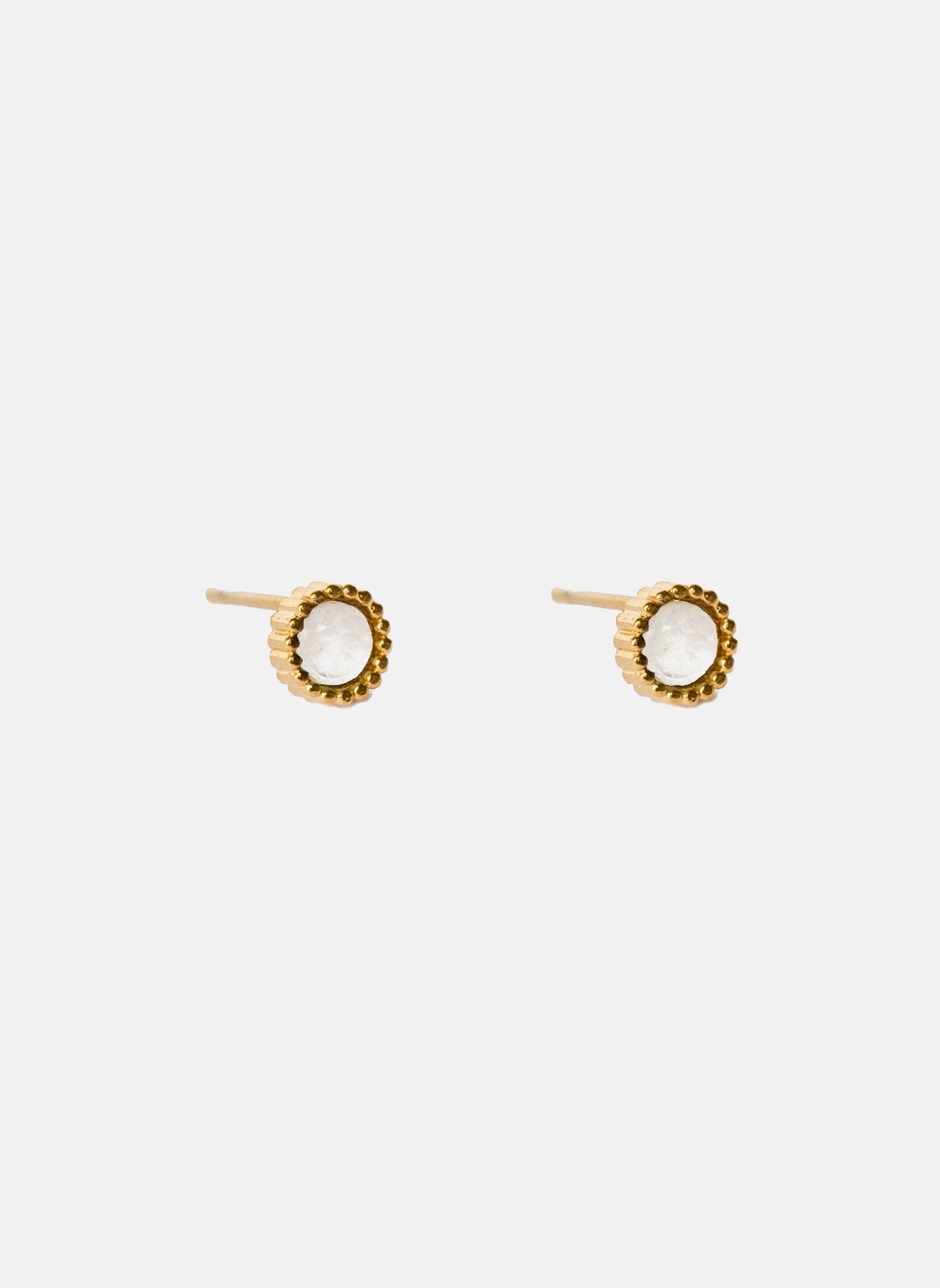 Puces d'oreilles Leto