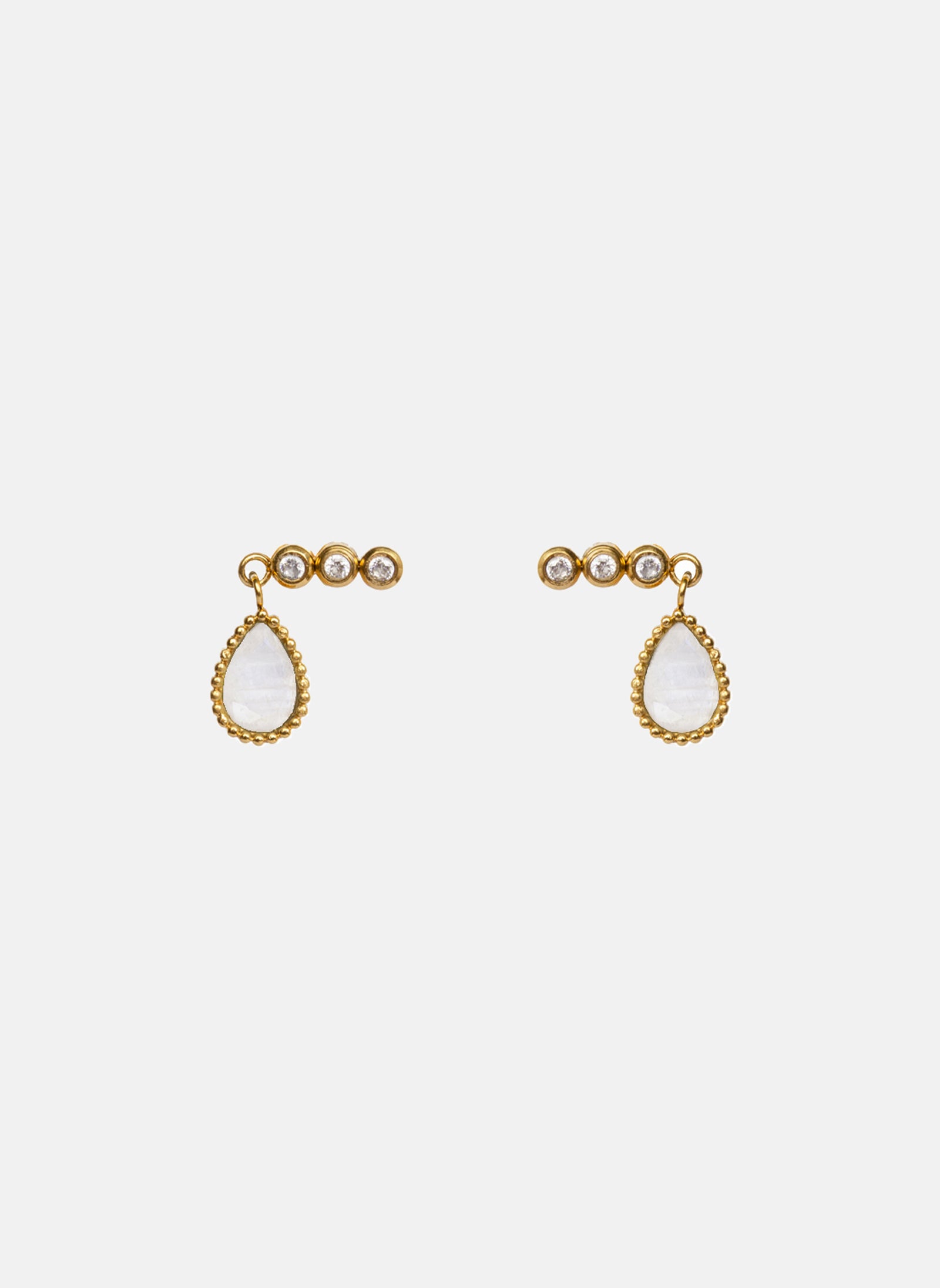 Puces d'oreilles Roma